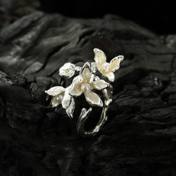 Norva Norva Vogue Band 2 Ring gold-plated Australia